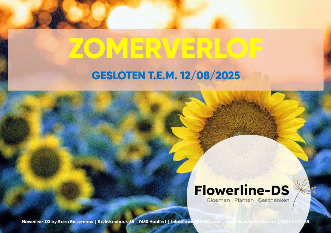 images/homepage/Verlof Flowerline.png